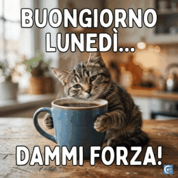 Buongiorno Lunedì meme divertente in formato GIF e immagine 4K con espressioni ironiche sul ritorno al lavoro