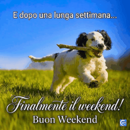 Immagini di Buon Weekend GIF colorate e divertenti per augurare un relax perfetto