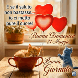 buona domenica 31 maggio gif buongiorno gratis per whatsapp con sole fiori e messaggi positivi da condividere