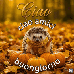Immagini Ciao Buongiorno GIF animate saluto mattutino positivo