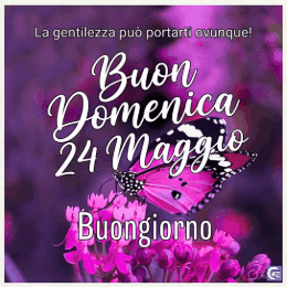 Immagini di buongiorno e GIF animate buona domenica 24 maggio per una giornata serena e piena di sorrisi