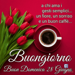 Immagine per buona domenica 28 giugno con messaggio di buongiorno, colori vivaci e atmosfera rilassante per auguri su WhatsApp