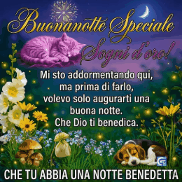 Immagini e GIF di buonanotte speciale gratuite per WhatsApp con sfondo notturno romantico, stelle scintillanti, luna e messaggi dolci