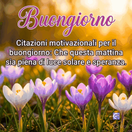 Immagine motivazionale con citazione per il buongiorno, sfondo luminoso e colori caldi, testo positivo che trasmette energia e determinazione per iniziare la giornata