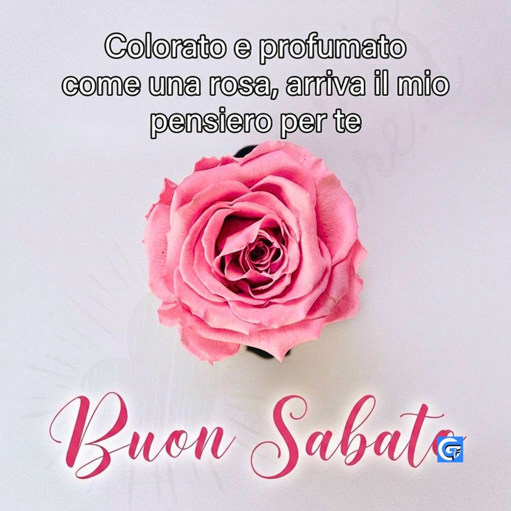 Fiori primaverili per un sereno sabato