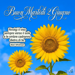 immagini buon martedì 2 giugno buongiorno gif gratis divertenti