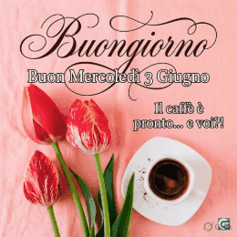 gif buongiorno buon 3 giugno nuovissime gratis per whatsapp immagini divertenti e motivazionali