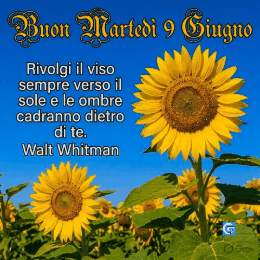 gif e immagini di buongiorno colorate con fiori e sole per augurare buon martedì 9 giugno su whatsapp con messaggi positivi