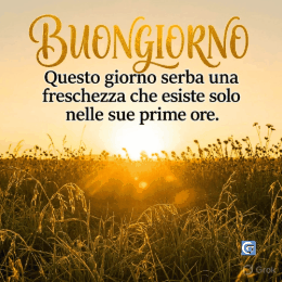 Immagine serena con citazione ispiratrice per augurare il buongiorno, sfondo di alba luminosa con fiori delicati e testo elegante che trasmette positività e speranza