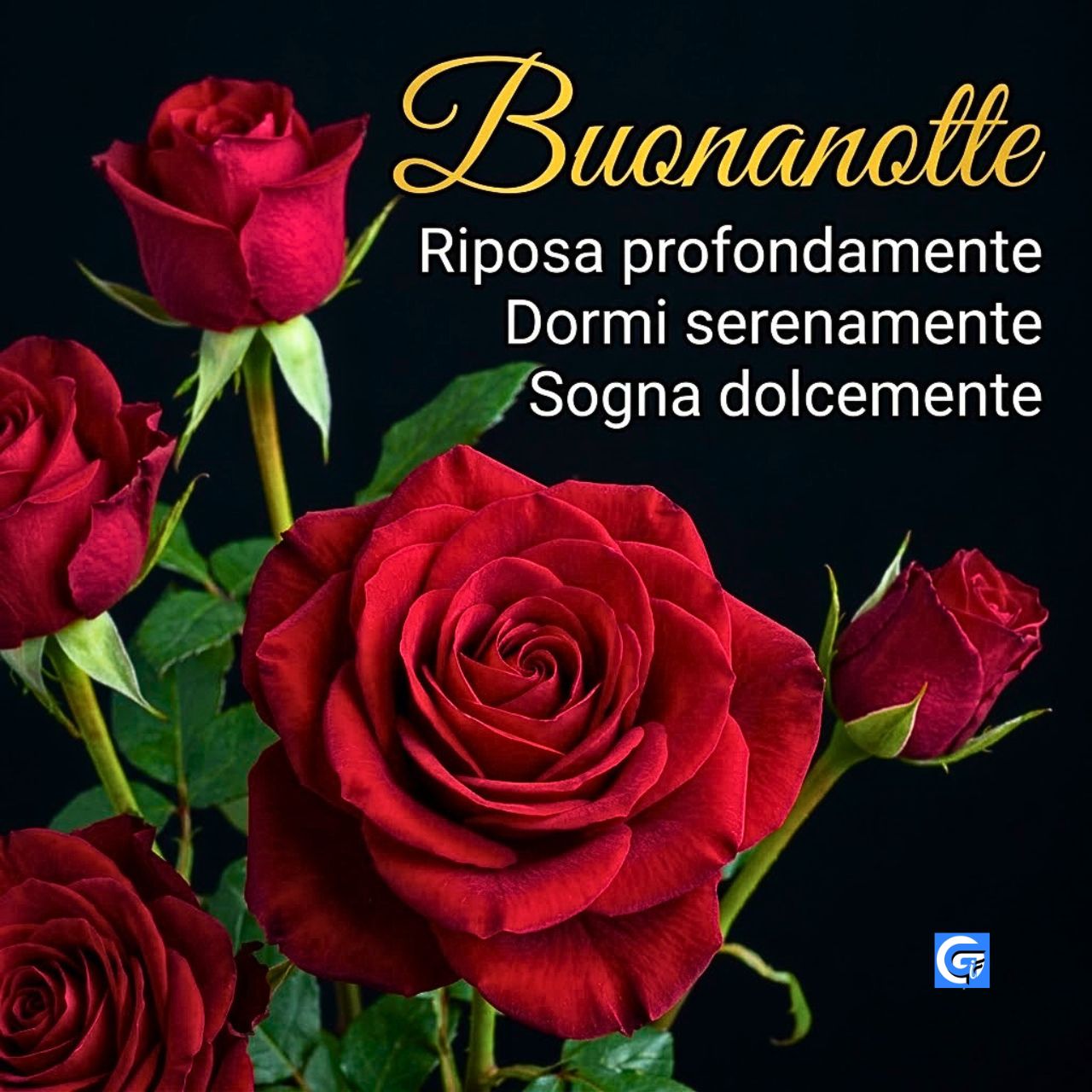 Immagini di Fiori per Augurare la Buonanotte