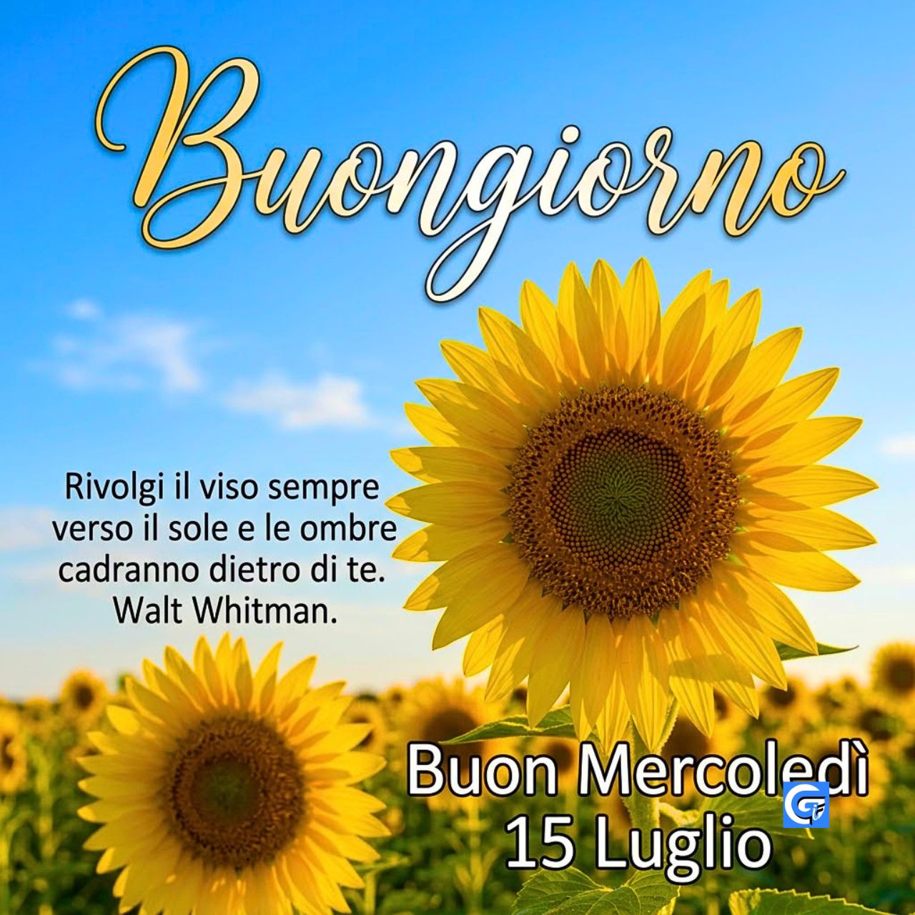 Buon mercoledì 15 luglio immagini e GIF buongiorno nuove da inviare su WhatsApp con messaggi positivi e colori estivi