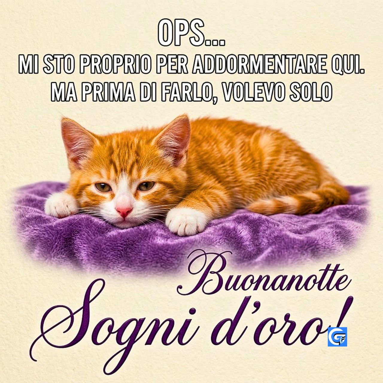 Immagini di Buonanotte Gatto Foto Nuove