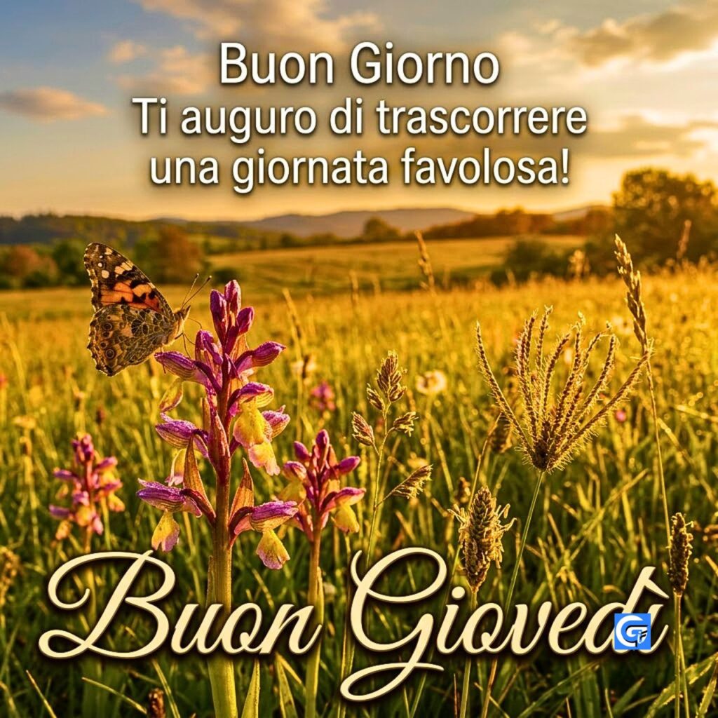 Farfalla su orchidea selvatica in un prato all'alba con scritte Buon Giorno e Buon Gioved&igrave;.