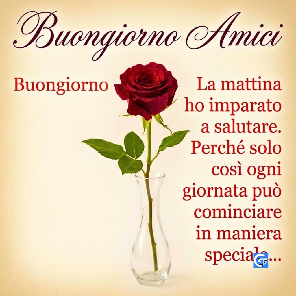 Rosa rossa realistica in vaso con elegante calligrafia 'Buongiorno Amici' e auguri speciali.