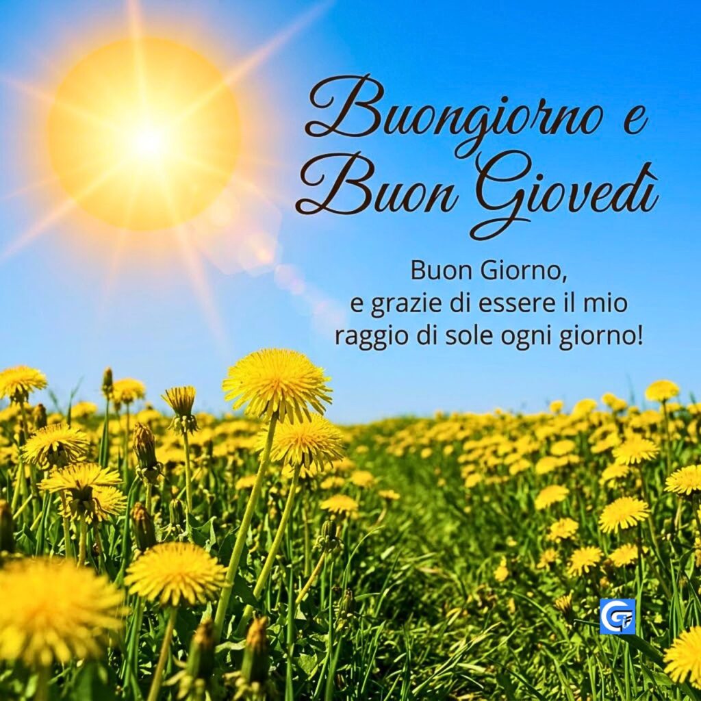 Un campo di tarassaco sotto un sole radioso con testo 'Buongiorno e Buon Gioved&igrave;' e testo 'Buon Giorno, e grazie di essere il mio raggio di sole ogni giorno!'.