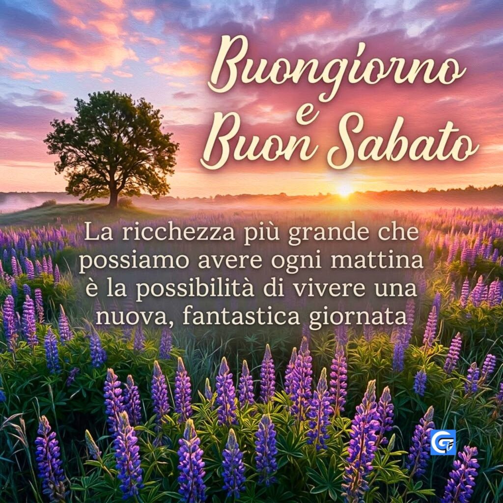 Un solitario albero su una collina di fiori viola all'alba, con i testi Buongiorno e Buon Sabato e la frase sulla ricchezza della mattina.
