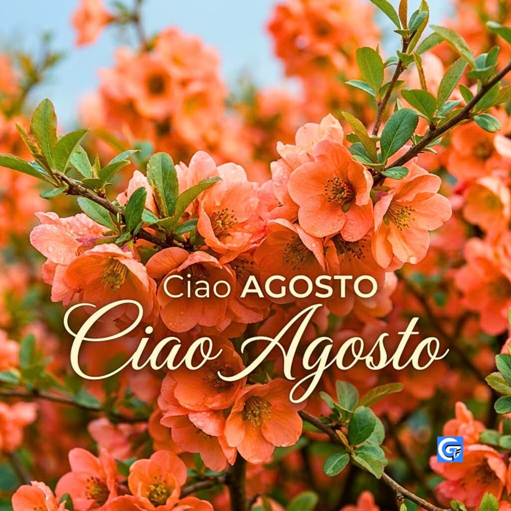 Fiori di pesco color pesca con rugiada e la scritta Ciao AGOSTO Ciao Agosto.