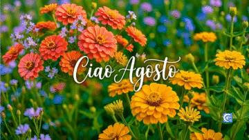Fiori zinnie arancioni, gialle e viola bagnati di rugiada con testo bianco Ciao Agosto centrale.