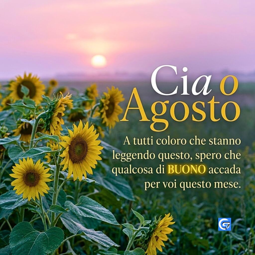 Girasoli all'alba con testo grande "Ciao Agosto" e messaggio d'auguri in italiano.
