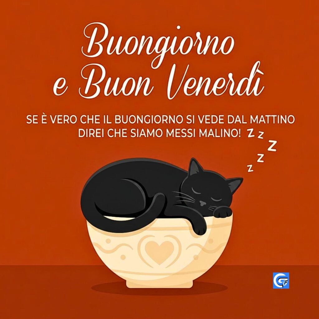 Gatto nero assonnato rannicchiato su ciotola terracotta con testo Buongiorno e Buon Venerd&igrave;.