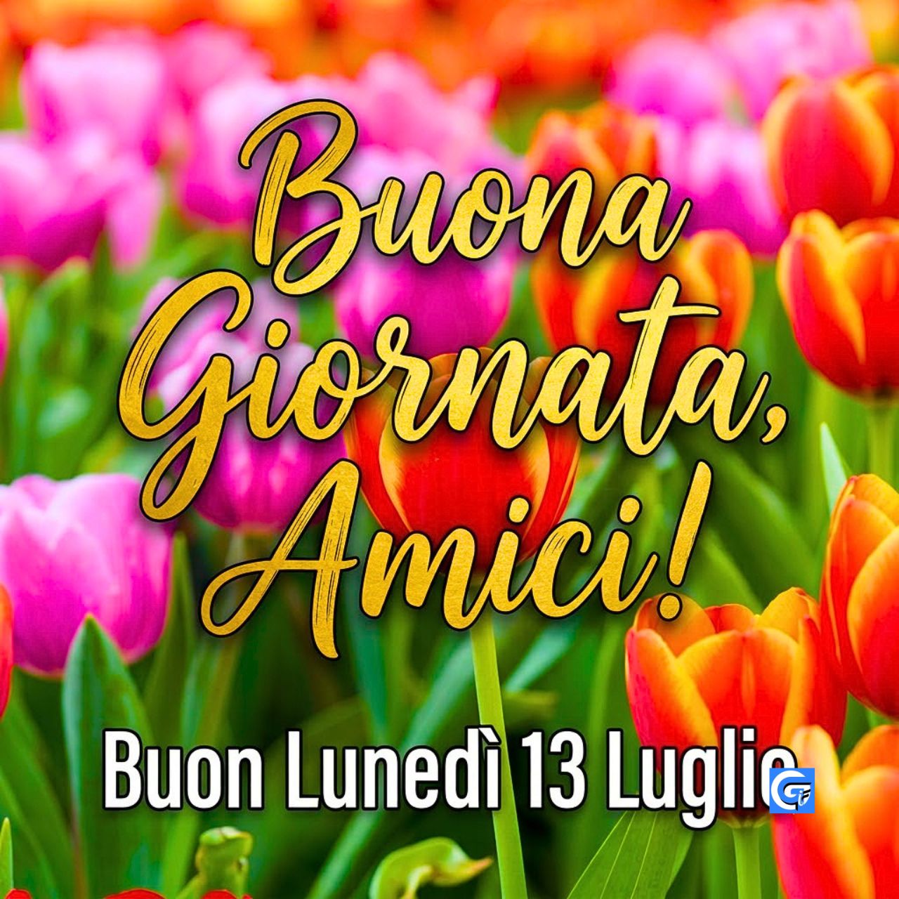 Buon lunedì 13 luglio immagini mozzafiato nuovissime buongiorno da condividere su WhatsApp