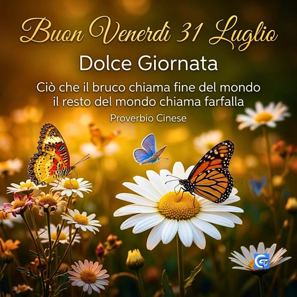 Fiori di margherita, farfalle e testo Buon Venerdì 31 Luglio Dolce Giornata e Proverbio Cinese
