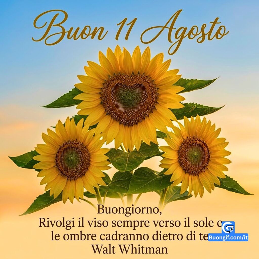 Girasoli con cuore al centro, testo "Buon 11 Agosto" e citazione di Walt Whitman.