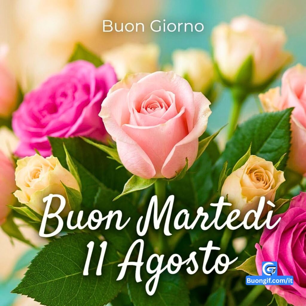 Rose rosa e bianche con testo: "Buon Giorno" e "Buon Martedì 11 Agosto".