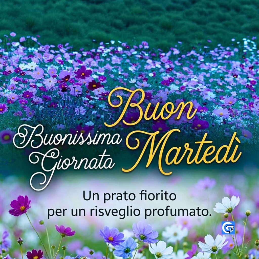 Campo di fiori viola con scritte Buon Marted&igrave; e Buonissima Giornata.