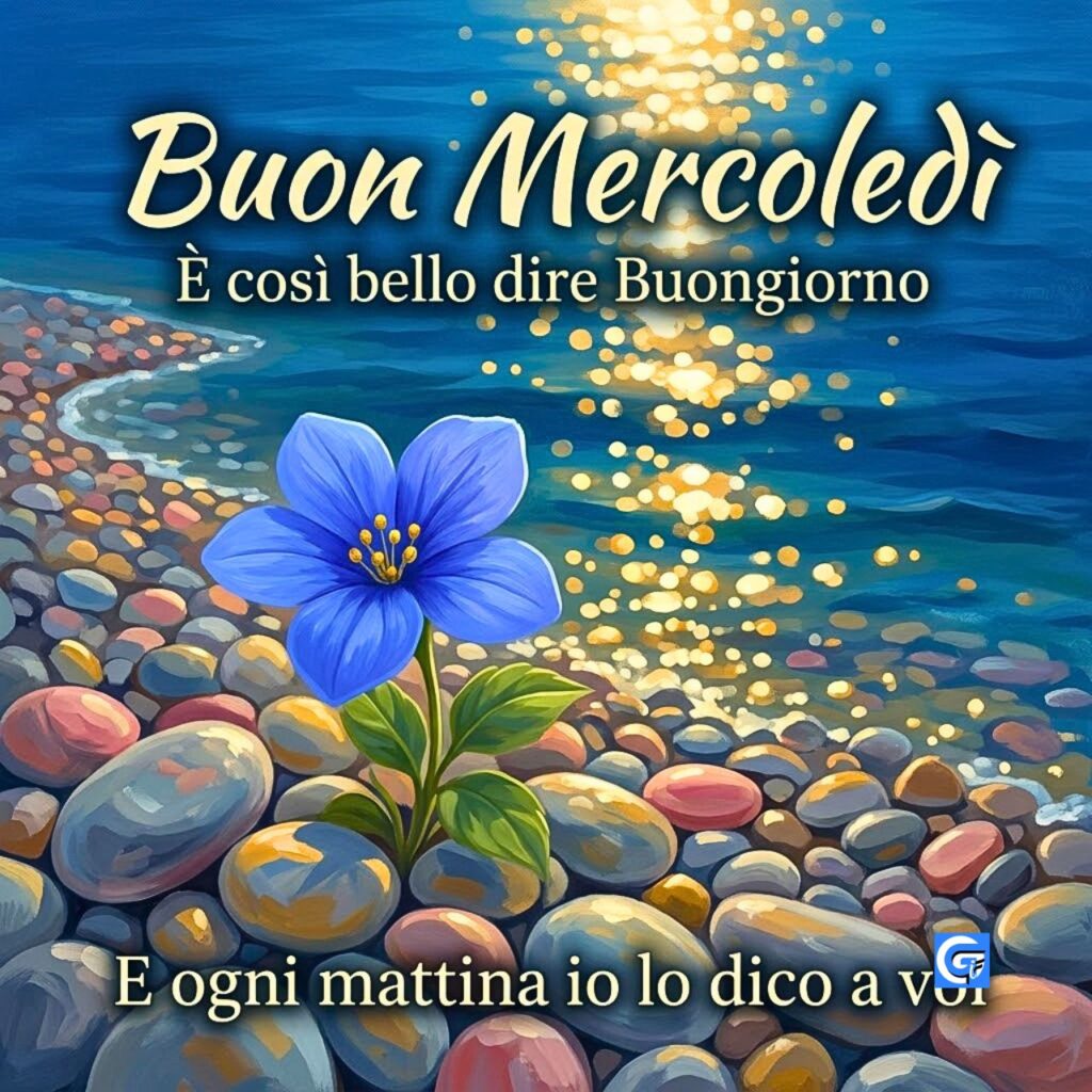 Fiore blu tra ciottoli colorati e mare con riflessi dorati. Testo "Buon Mercoledì" e auguri.