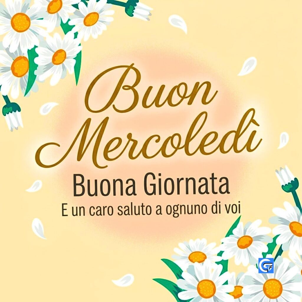 Elegante scritta Buon Mercoledì in corsivo oro con margherite bianche fresche e petali.