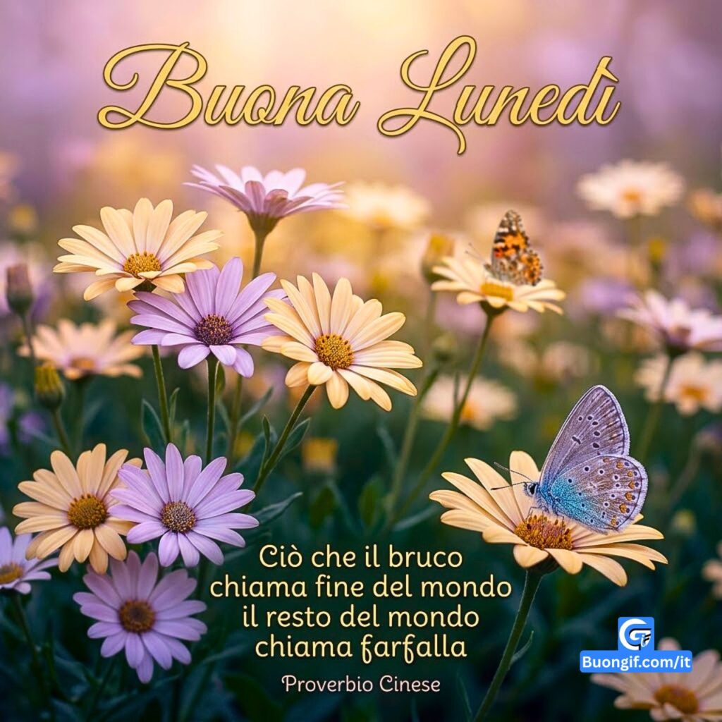 Margherite lavanda e farfalla blu con testo Buona Luned&igrave; Proverbio Cinese.