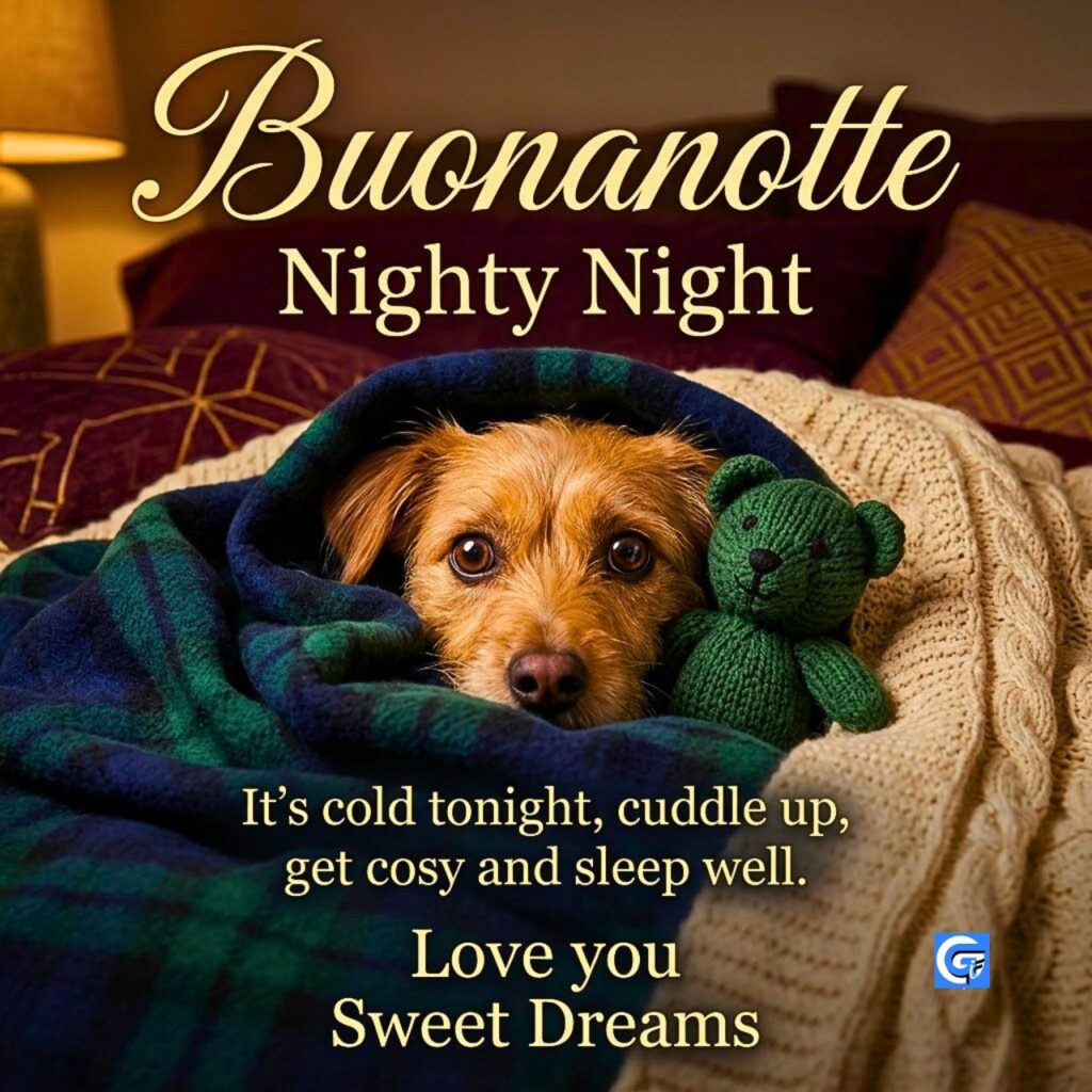 Cucciolo dagli occhi sgranati sotto coperte di pile e lana, con testi: Buonanotte, Nighty Night, Sweet Dreams, Love you.