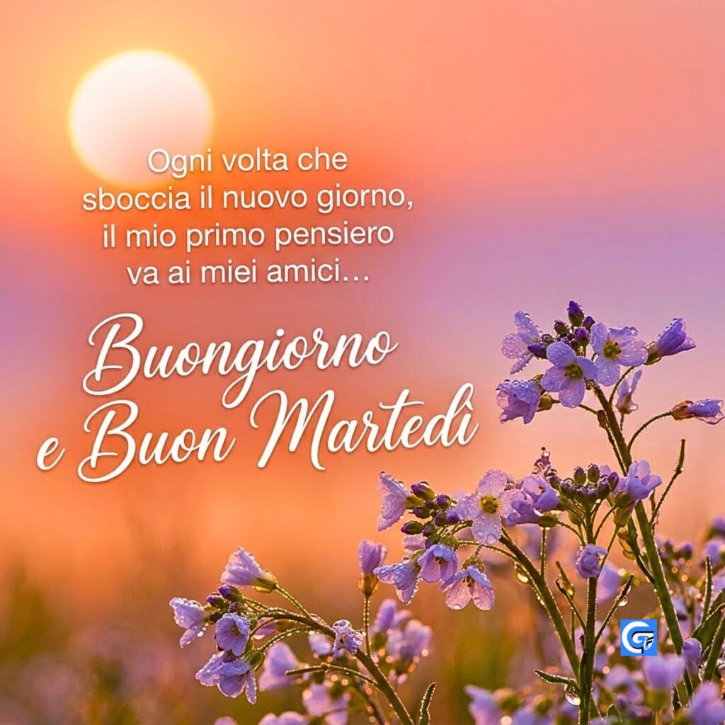 Fiori selvatici rugiadosi all'alba con testo Buongiorno e Buon Marted&igrave; e pensiero per gli amici.
