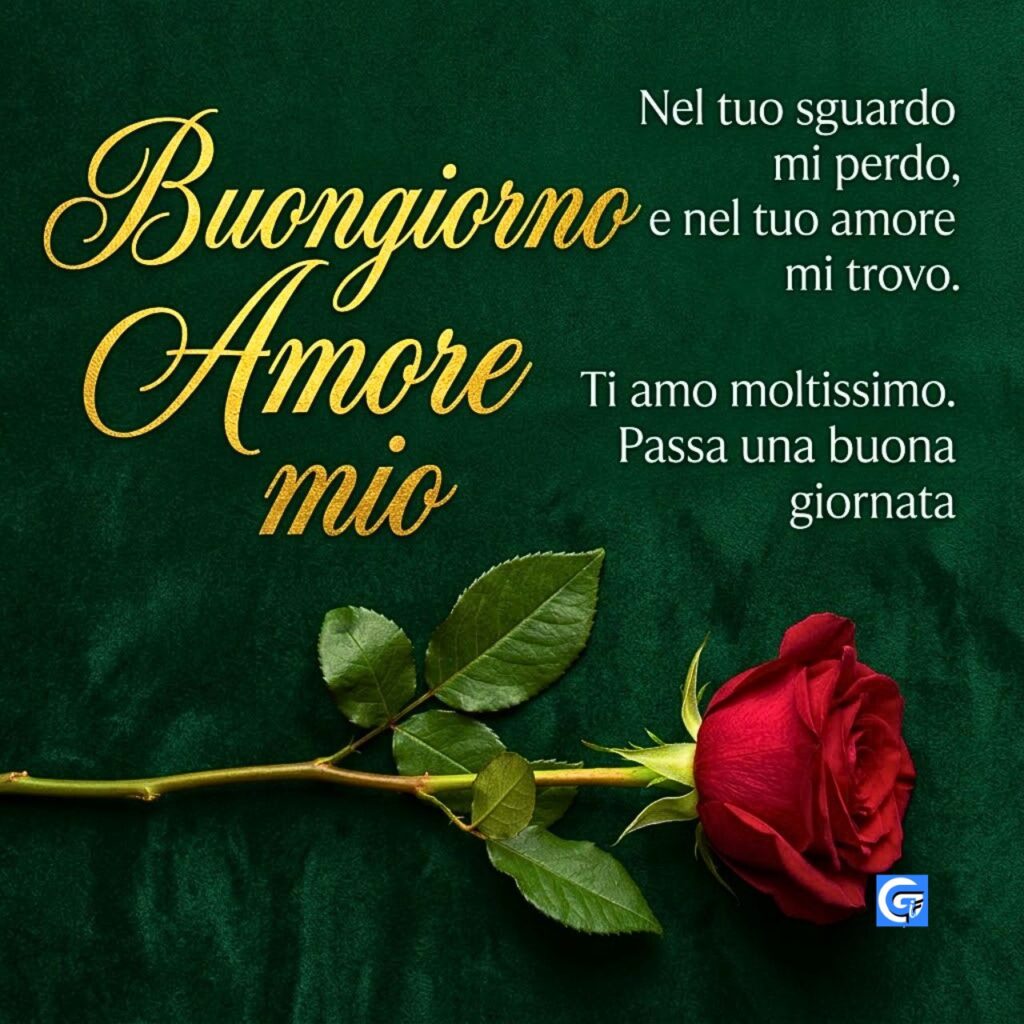 Una rosa rossa su velluto verde con il testo Buongiorno Amore mio in oro.