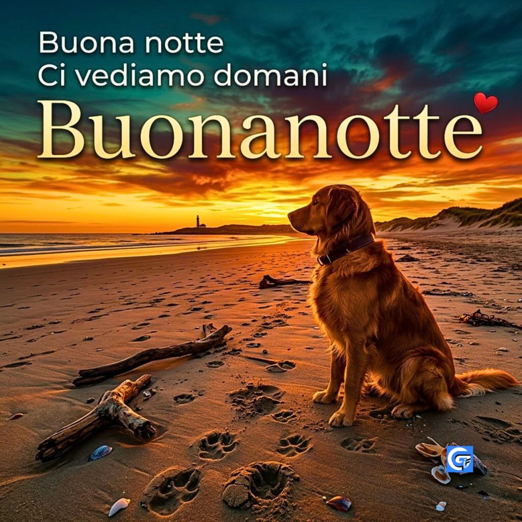 Golden Retriever sulla spiaggia al tramonto con testo 'Buonanotte' e cuore rosso.