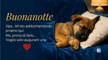 Cucciolo addormentato su velluto blu scuro con scritte Buonanotte in oro.