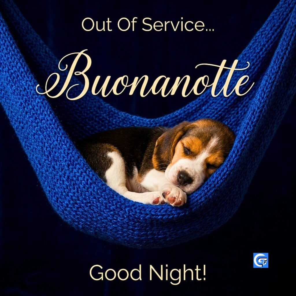 Cucciolo di Beagle dorme profondamente in amaca blu, con testo Out Of Service..., Buonanotte, Good Night!.