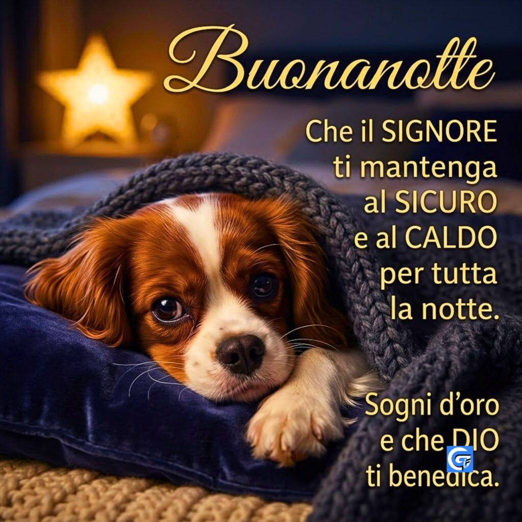 Cucciolo di Cavalier King, coperta, cuscino velluto, testo 'Buonanotte' e preghiera.