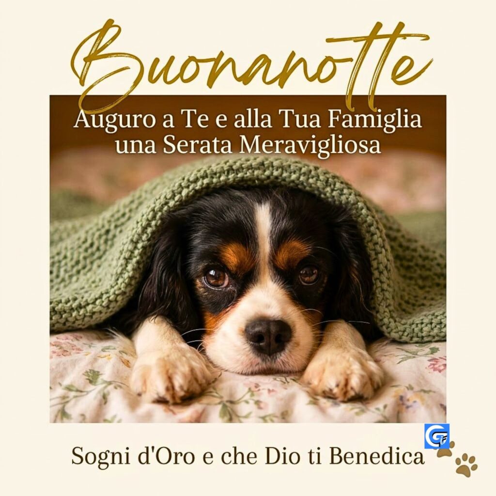 Cucciolo Cavalier tricolore sotto coperta verde con testo: "Buonanotte", "Sogni d'Oro e che Dio ti Benedica".