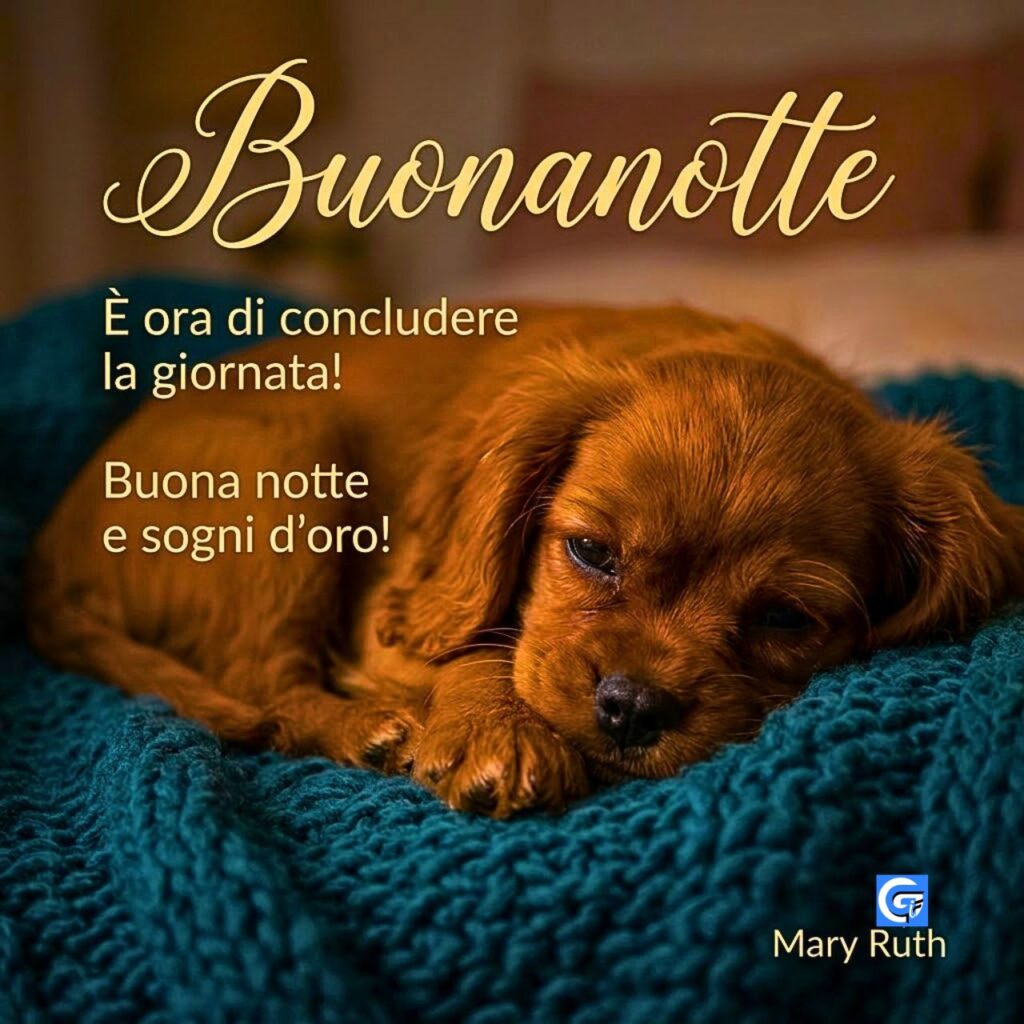 Cucciolo assonnato su coperta a maglia, testo "Buonanotte" e auguri "Buona notte e sogni d'oro!", firmato "Mary Ruth".