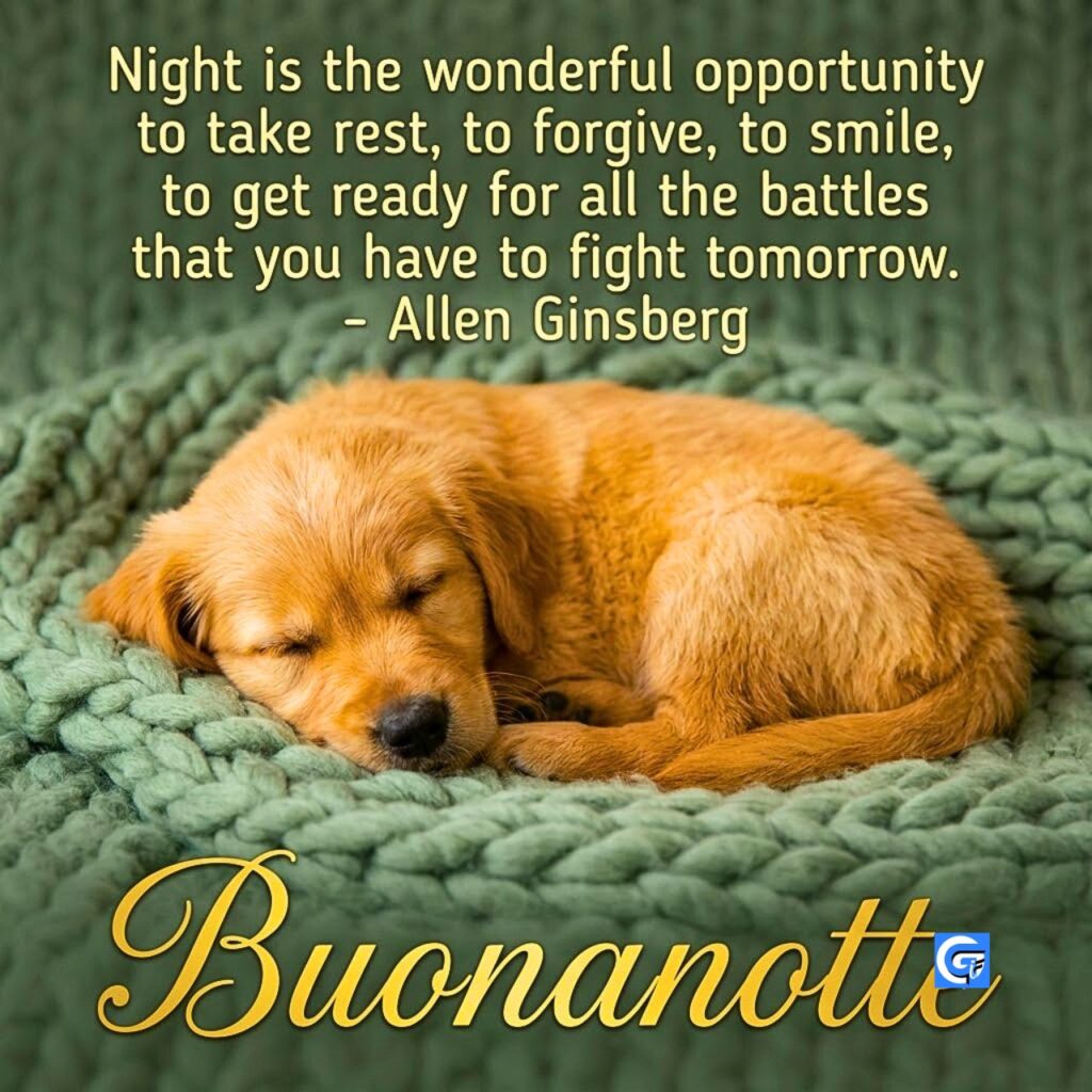 Cucciolo di Golden Retriever addormentato su coperta a maglia con scritta Buonanotte.