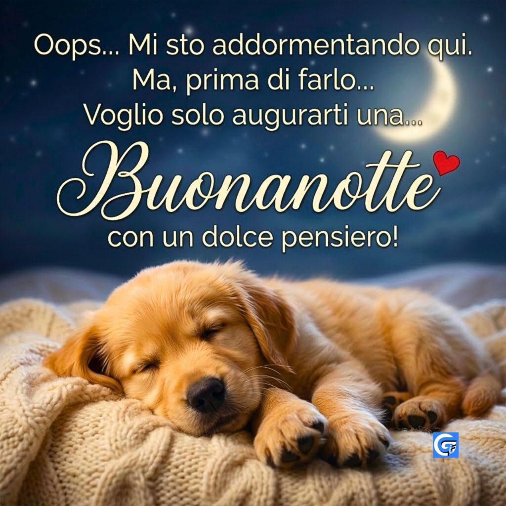 Cucciolo Golden Retriever dormiente su coperta di lana, con testo Buonanotte e cuore.