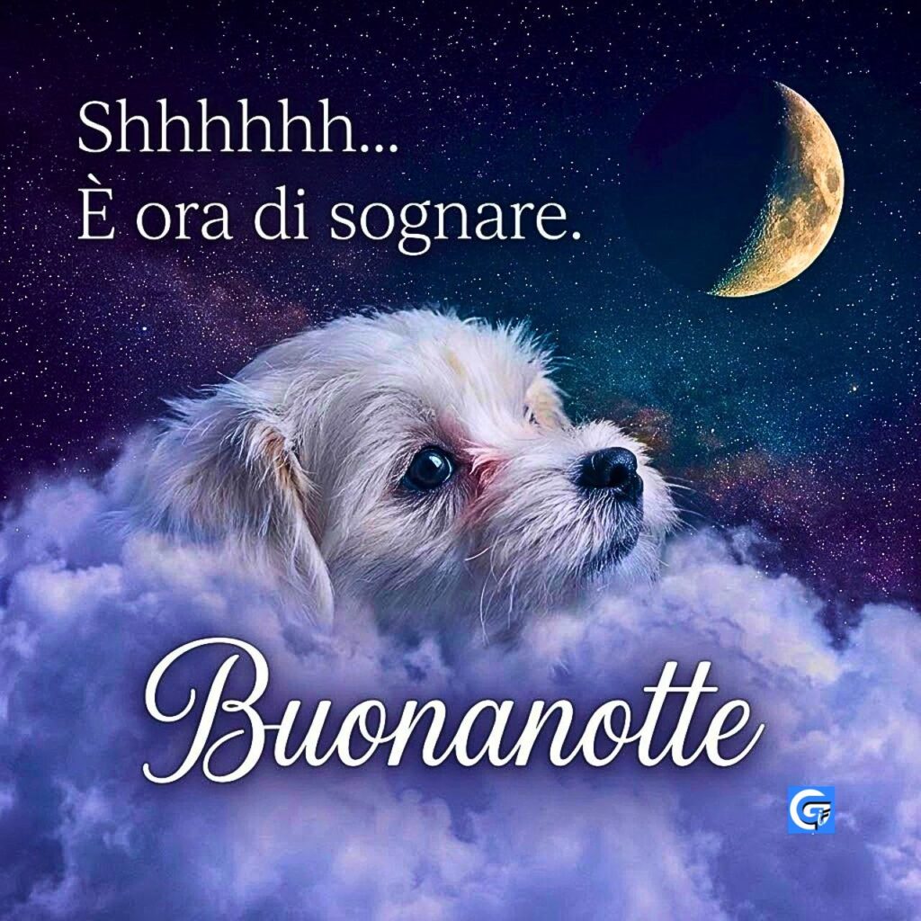 Cucciolo bianco in nuvole, cielo stellato, luna, testo: Shhhhhh... &Egrave; ora di sognare. Buonanotte.