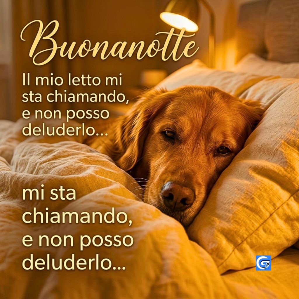 Un cane Golden Retriever sotto le coperte con testo 'Buonanotte' e frasi di invito al letto.