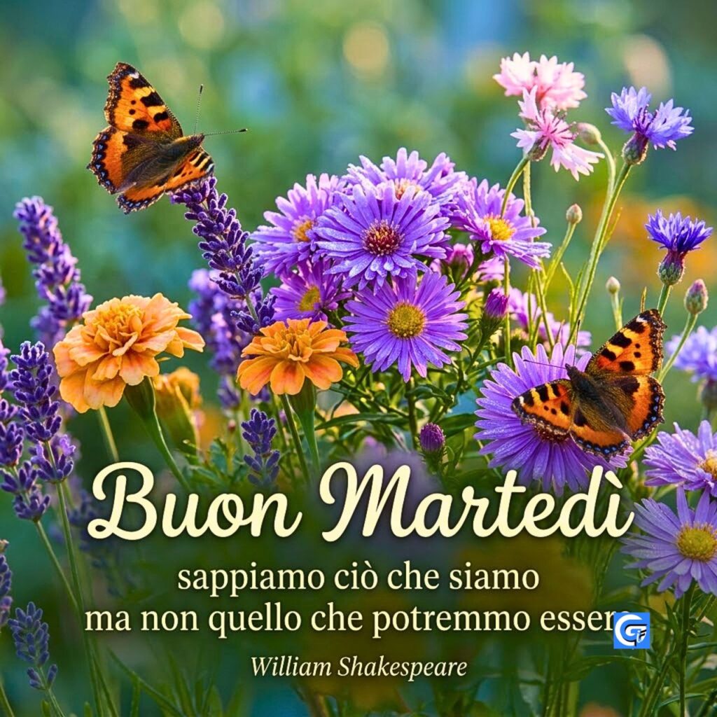 Fiori selvatici, farfalle colorate e la frase BUON MARTED&Igrave; con citazione ispiratrice di William Shakespeare.