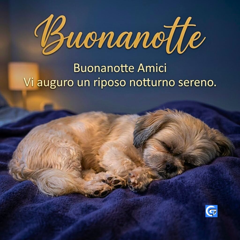 Cane Shih Tzu dorme su coperta blu con scritte Buonanotte, Buonanotte Amici e augurio sereno