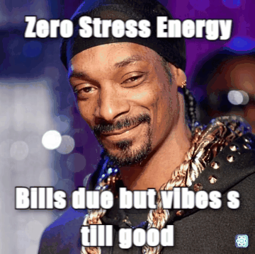 Snoop Dogg meme Zero Stress Energy - Bills due but vibes still good