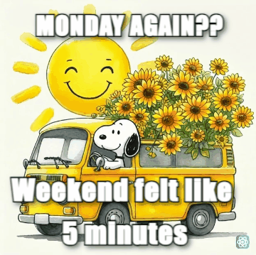 Good Monday meme MONDAY AGAIN?? - Weekend felt like 5 minutes