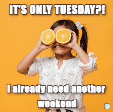 Happy Tuesday meme IT’S ONLY TUESDAY?! - I already need another weekend